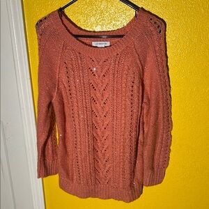 Liz Claiborne Rust Knit Sweater